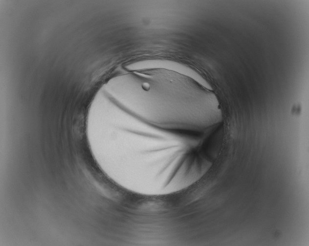 X0000111930364200908241121