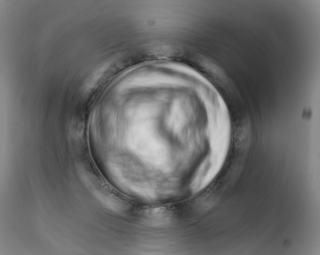 X0000111930365200908241121