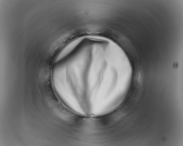 X0000111930367200908241121