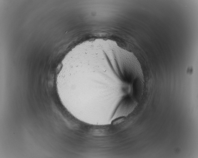 X0000111930368200908241121