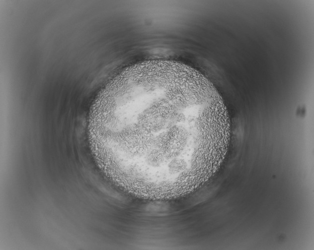 X0000111930369200908241121