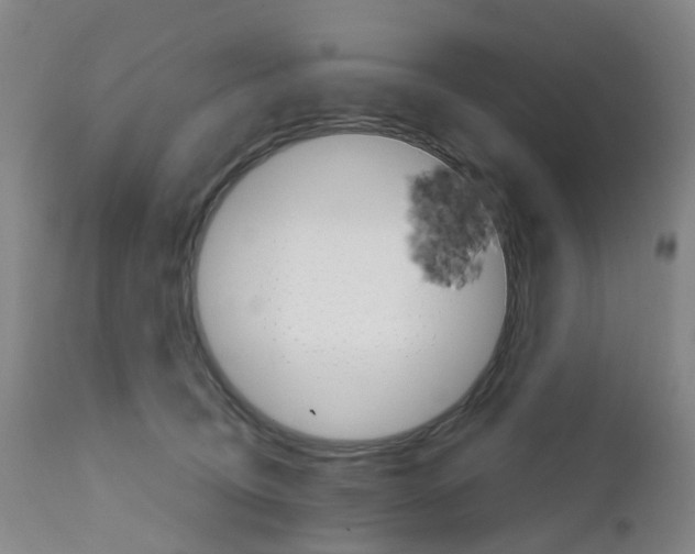 X0000111930370200908241121