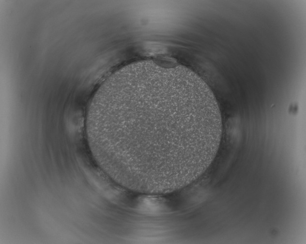 X0000111930372200908241121