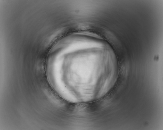 X0000111930373200908241121