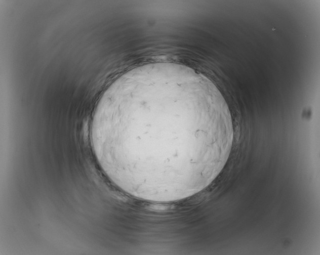 X0000111930375200908241121