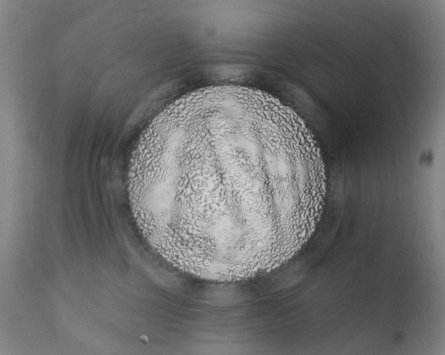 X0000111930377200908241121