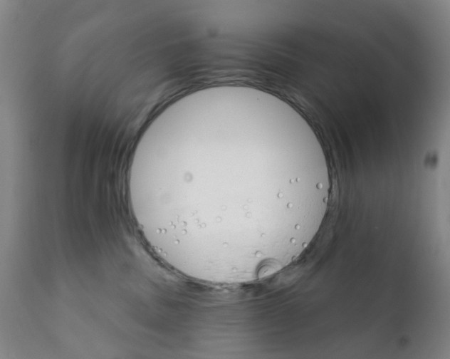 X0000111930379200908241121