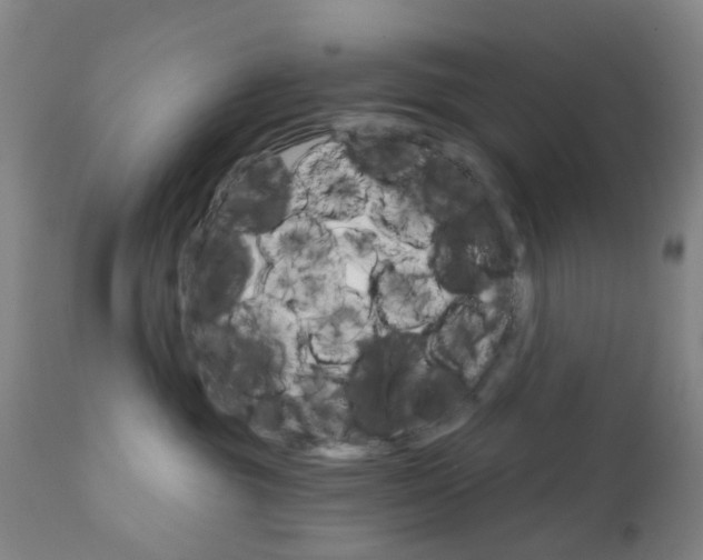 X0000111930381200908241121