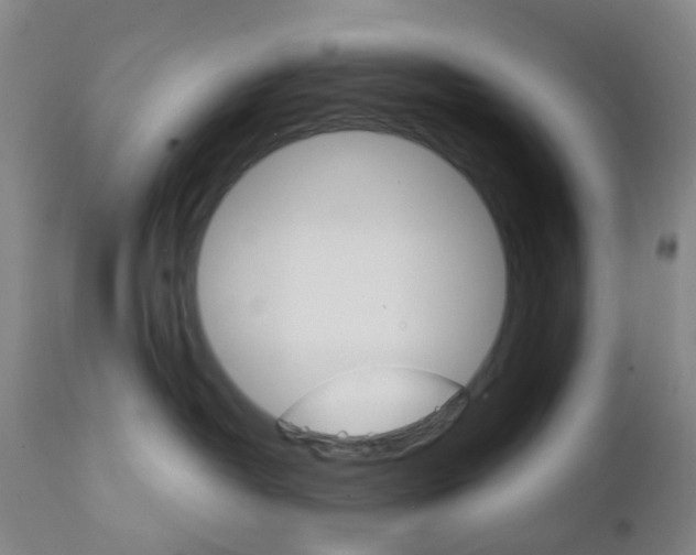 X0000111930382200908241121