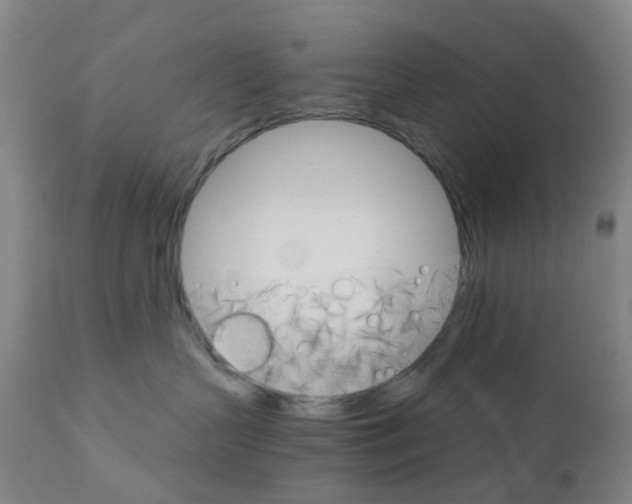 X0000111930383200908241121