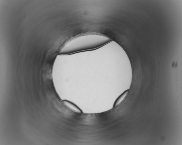 X0000111930384200908241121