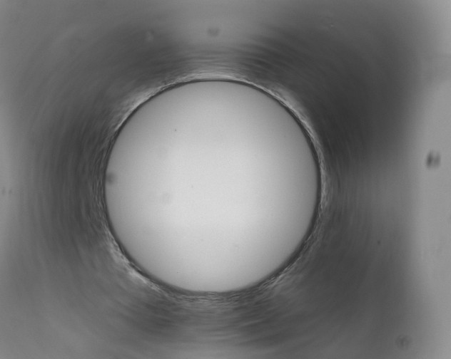 X0000111930385200908241120