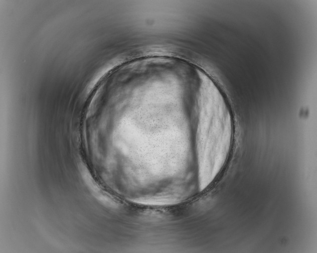 X0000111930386200908241120