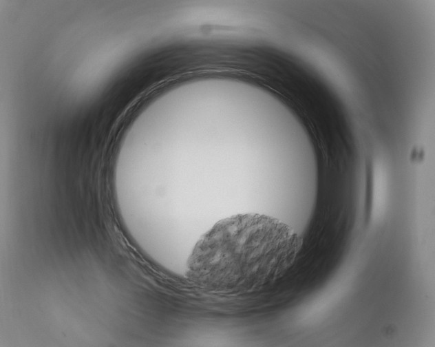 X0000111930387200908241120