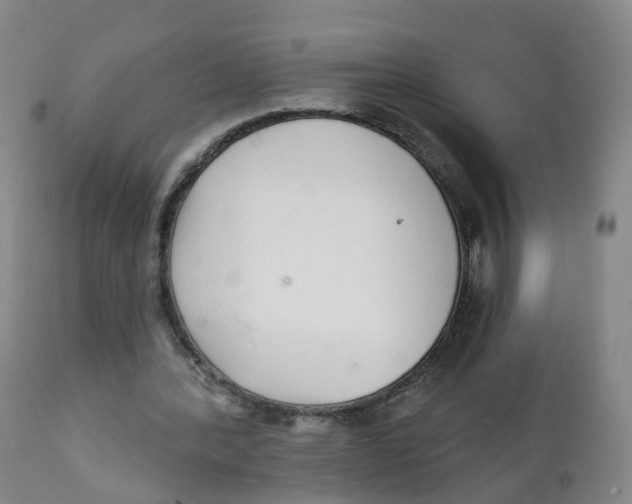 X0000111930388200908241120