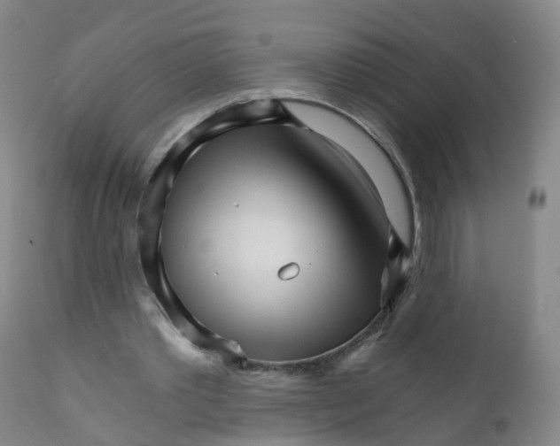 X0000111930389200908241120