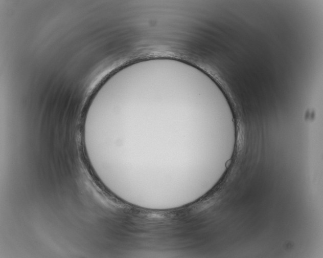 X0000111930390200908241120