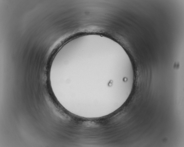 X0000111930392200908241120