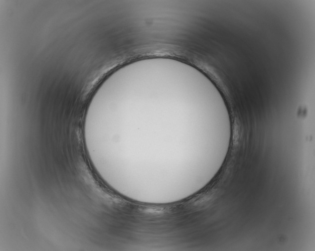 X0000111930394200908241120