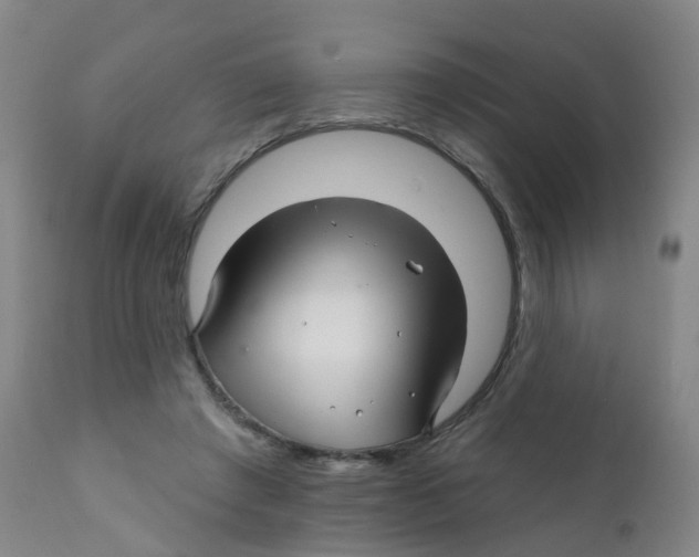 X0000111930401200908241120