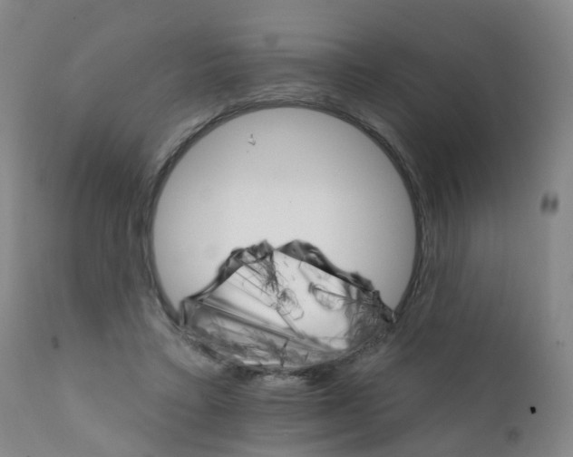 X0000111930403200908241120