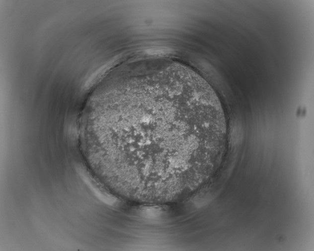 X0000111930405200908241120