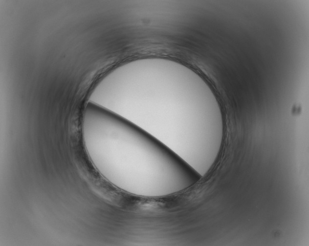 X0000111930407200908241120