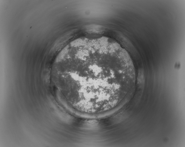 X0000111930409200908241120