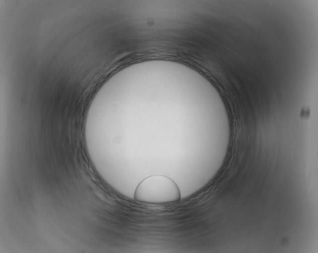 X0000111930413200908241120