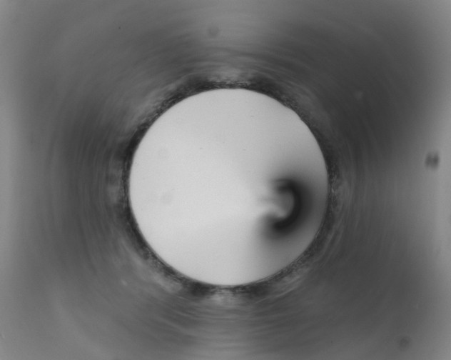 X0000111930416200908241120