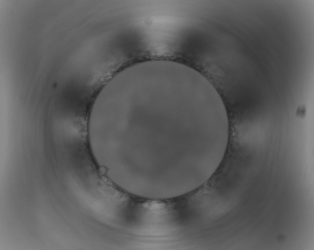 X0000111930419200908241120