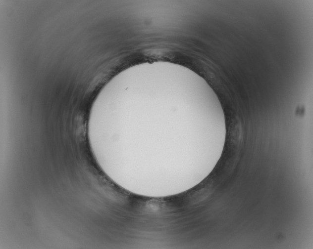 X0000111930420200908241120