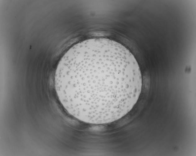 X0000111930422200908241120