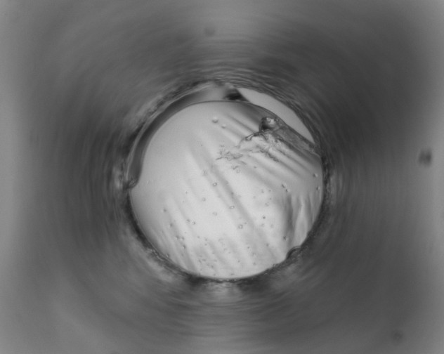 X0000111930424200908241120