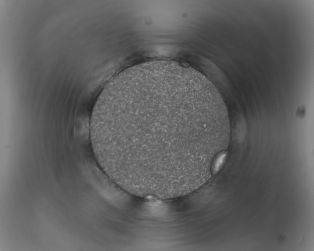 X0000111930425200908241120