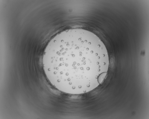 X0000111930426200908241120