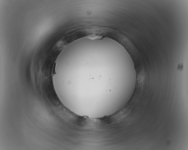 X0000111930429200908241120