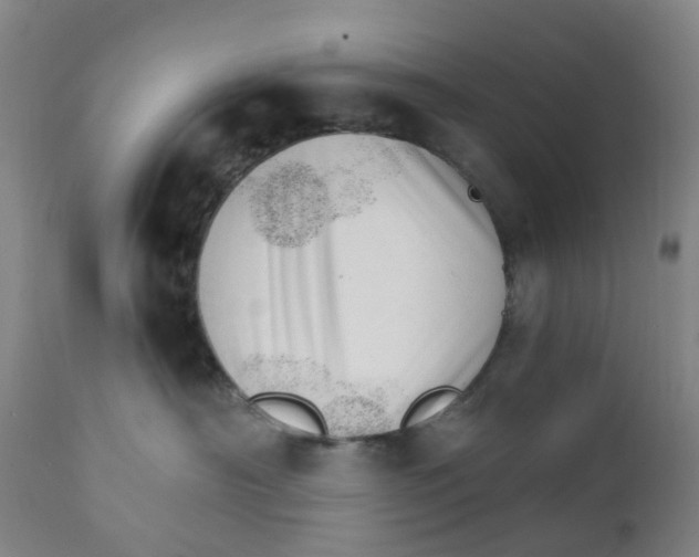 X0000111930430200908241120