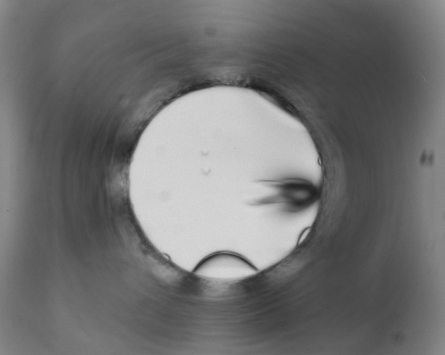 X0000111930432200908241120