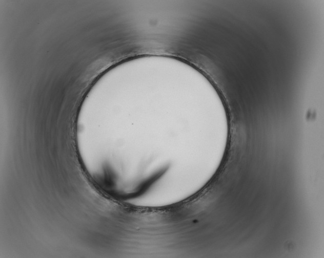 X0000111930433200908241119