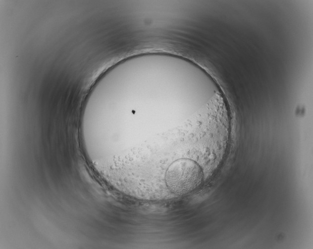 X0000111930434200908241119