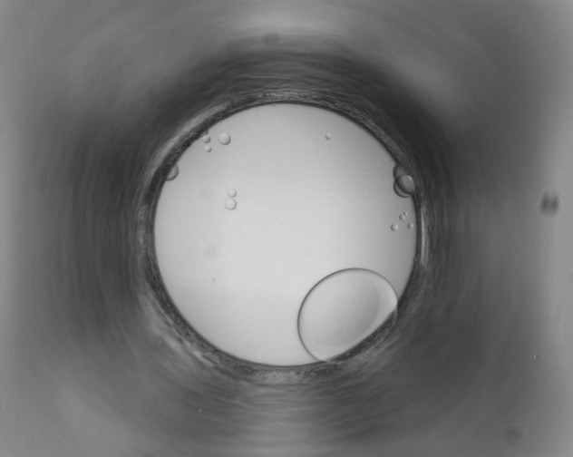 X0000111930435200908241119