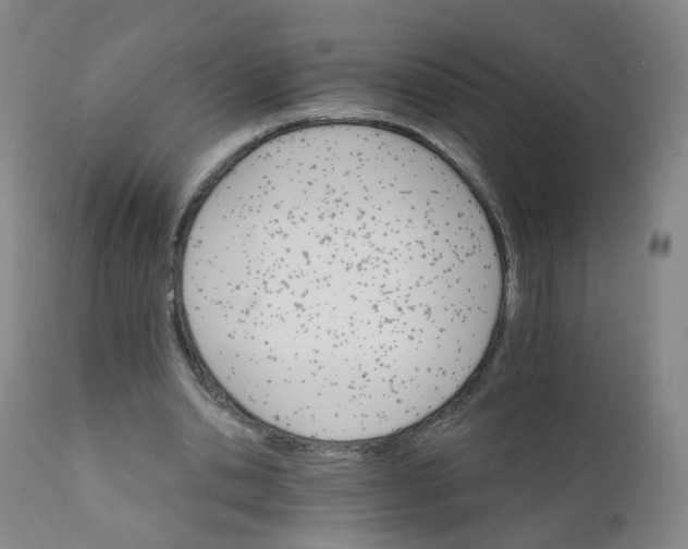 X0000111930438200908241119