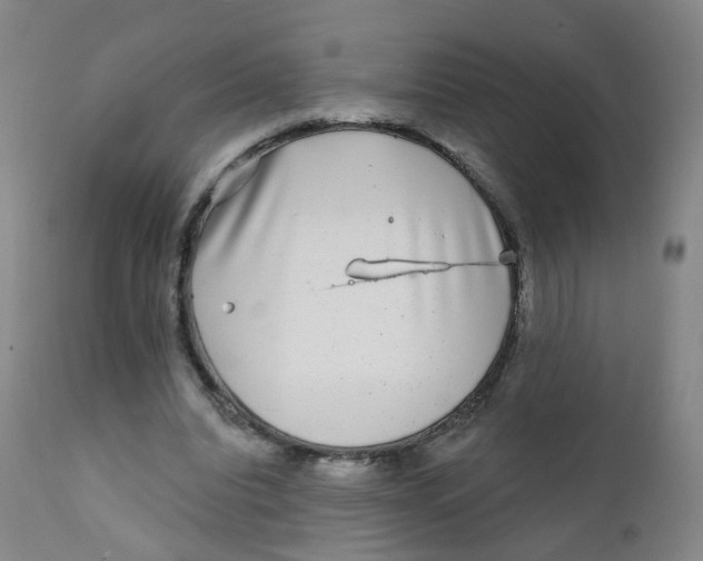 X0000111930440200908241119