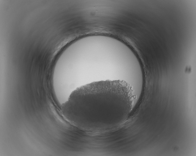 X0000111930443200908241119