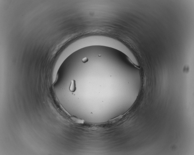 X0000111930444200908241119