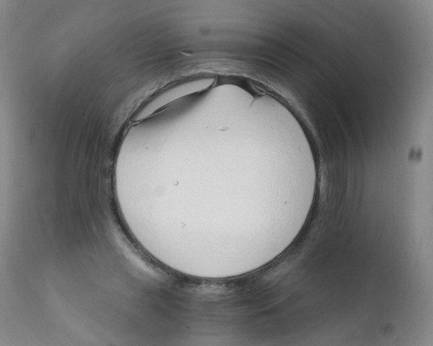 X0000111930445200908241119