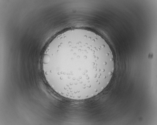 X0000111930447200908241119