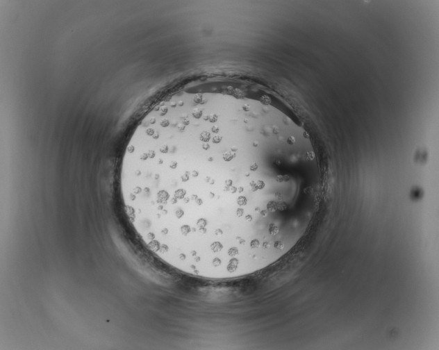 X0000111930448200908241119