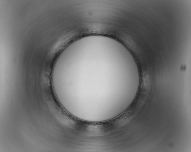 X0000111930450200908241119